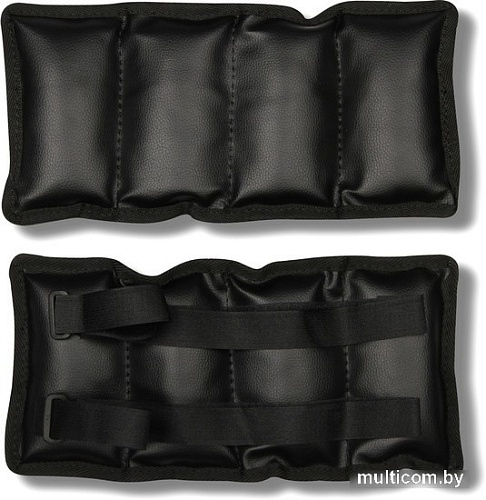 Комплект утяжелителей Indigo Профи SM-150 (0.2 кг)