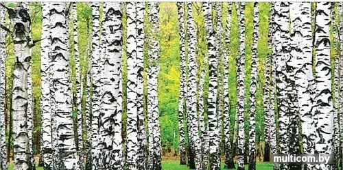 Корзина JoyArty Березовая роща toba_9342