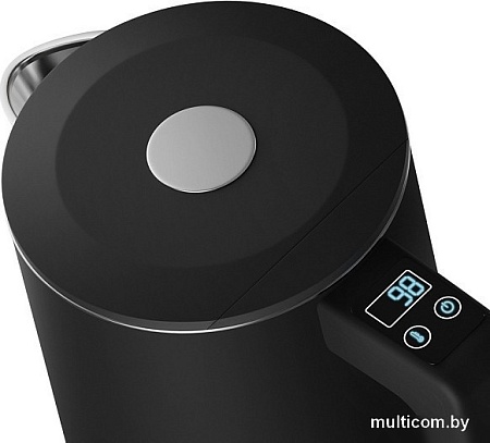 Электрический чайник Redmond SkyKettle KM231S (черный)