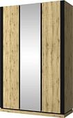 Шкаф распашной Anrex Street 3DG Z (дуб наварра/черный)