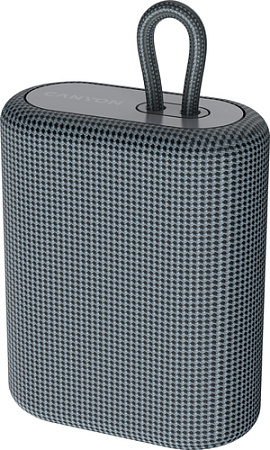 Беспроводная колонка Canyon CNE-CBTSP4DG