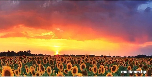 Корзина JoyArty Вечерние подсолнухи toba_9863