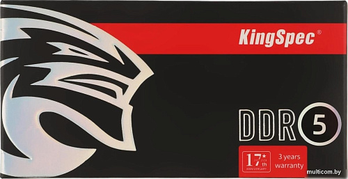 Оперативная память KingSpec 32ГБ DDR5 SODIMM 5200 МГц KS4800D5N11032G