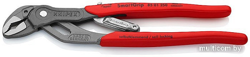 Клещи трубные Knipex 85 01 250