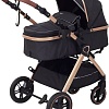 Универсальная коляска Rant Basic Roller Gold RA161 (2 в 1, black)