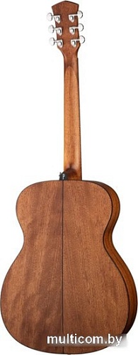 Акустическая гитара Parkwood S22M-NS