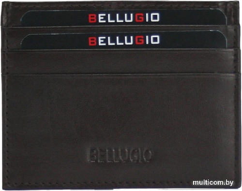Кредитница Bellugio AU-10R-014 (коричневый)