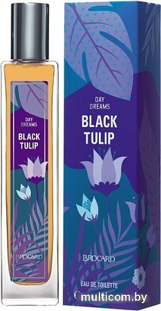 Brocard Black Tulip EdT (55 мл)