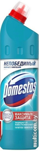 Универсальное средство Domestos Свежесть атлантики 750 мл