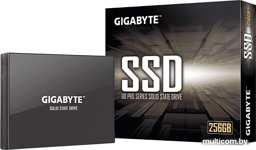 SSD Gigabyte UD Pro 256GB GP-GSTFS30256GTTD