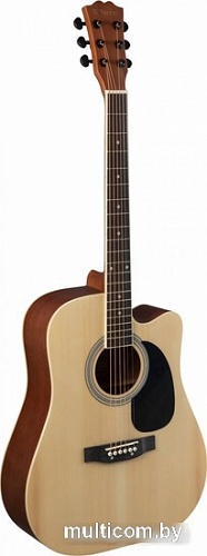 Акустическая гитара Terris TD-045 NA Starter Pack