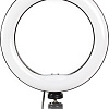 Кольцевая лампа SmartBuy SBL-TTL-8