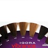 Schwarzkopf Professional Igora Vibrance 7-65 60мл