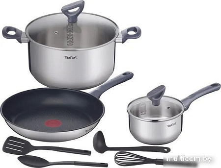 Набор кастрюль Tefal Daily Cook G713S974