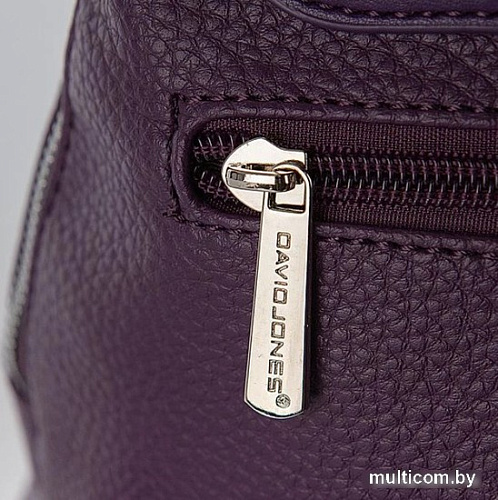 Городской рюкзак David Jones 823-CH21044E-PRP (фиолетовый)