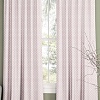 Комплект штор Pasionaria Хинди 340x240 (2 шт, розовый)