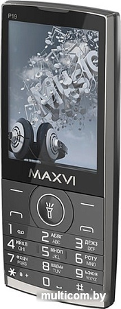 Мобильный телефон Maxvi P19 (серый)