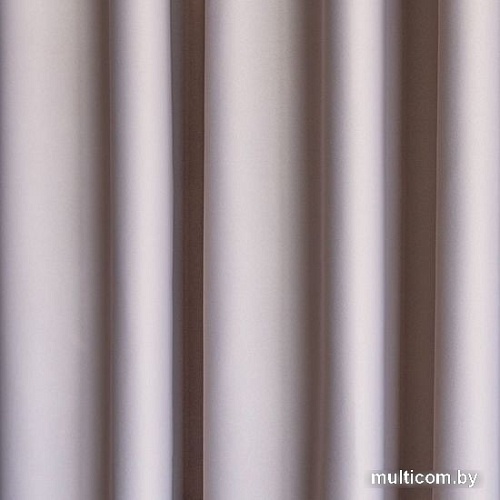 Комплект штор Pasionaria Блэквуд 400x240 (бежевый)