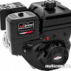 Бензиновый двигатель Briggs&amp;Stratton XR2100 Professional Series