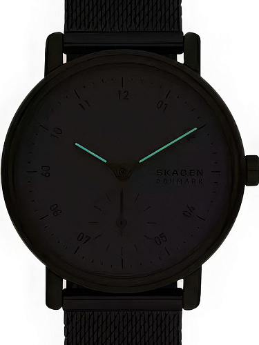 Наручные часы Skagen SKW3101