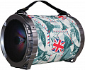 Беспроводная колонка Omega Bazooka