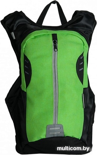 Рюкзак Paso 17-1608/R