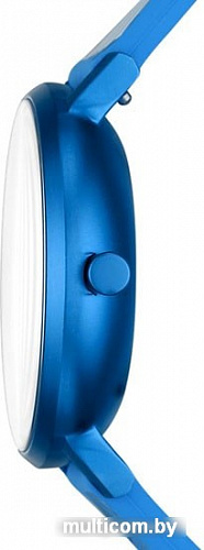 Наручные часы Skagen SKW2860