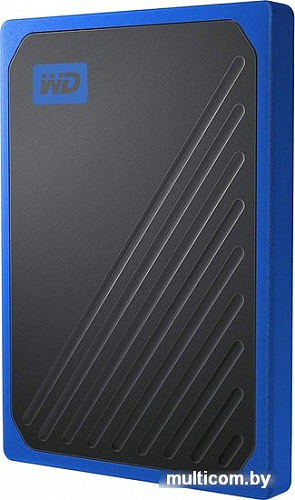 Внешний накопитель WD My Passport Go 1TB WDBMCG0010BBT