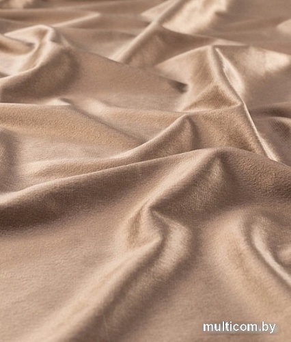 Штора Legrand Велюр 1.5x2.8 58118308 (латте)