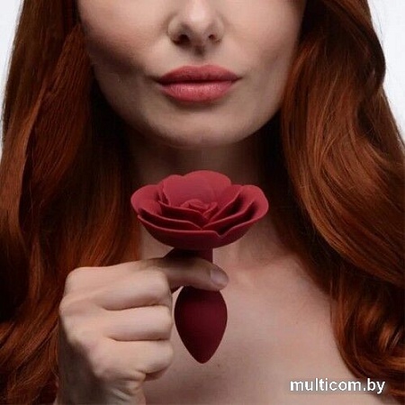 Анальная пробка Kissexpo с розой S 272000228
