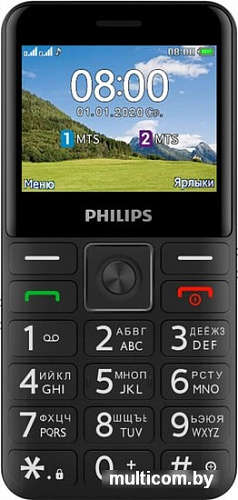 Мобильный телефон Philips Xenium E207 (черный)