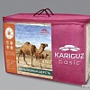 Одеяло Kariguz Верблюжья Шерсть МПВ21-4-3.2 (172x205 см)
