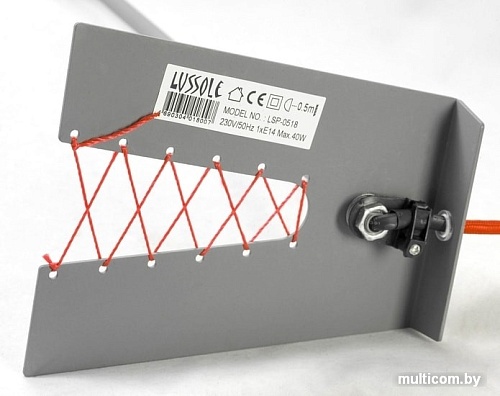 Лампа Lussole LOFT GRLSP-0518