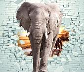 Фотообои Citydecor Слон 3D с защитным покрытием 300x254
