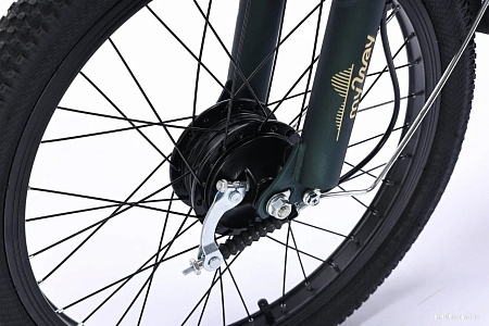 Электровелосипед MyWay Truck 1.0 500 24 (15, темно-зеленый)