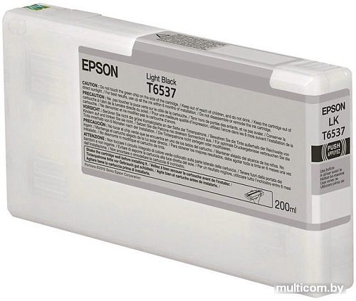 Картридж Epson C13T653700