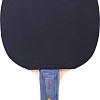 Ракетка для настольного тенниса Roxel Blaze