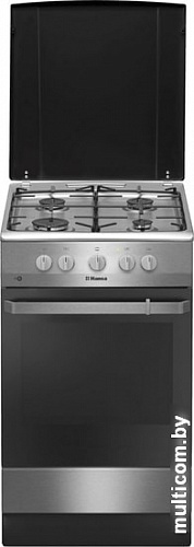Кухонная плита Hansa FCGX58099