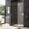Душевая дверь AM.PM Gem Solo W90G-120-1-195BM