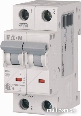 Выключатель автоматический Eaton HL-C63/2 2P 63A C 4.5kA 2M 194777