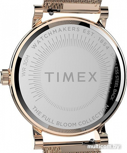 Наручные часы Timex Full Bloom TW2U18700