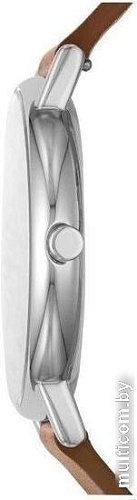 Наручные часы Skagen SKW6578