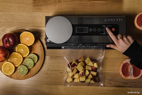 Вакуумный упаковщик Garlyn V-600