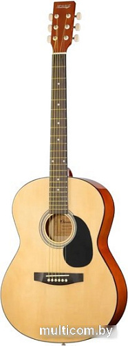 Акустическая гитара Homage LF-3900
