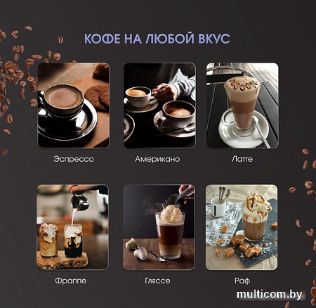 Рожковая кофеварка Zigmund & Shtain Al caffe ZCM?900