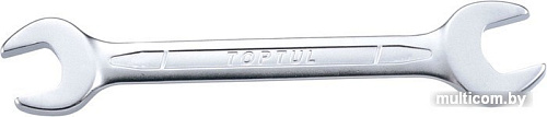 Набор ключей Toptul AAEJ4146 1 предмет