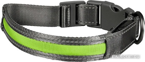 Ошейник Duvo Plus 10643/DV (серый/зеленый)