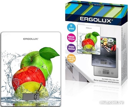 Кухонные весы Ergolux ELX-SK02-С01