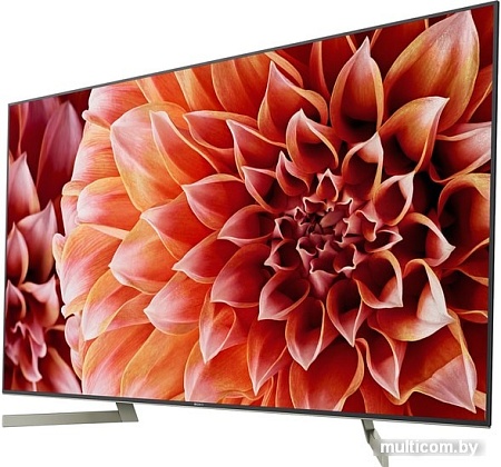 Телевизор Sony KD-55XF9005