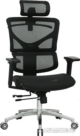 Кресло Evolution ERGO Mesh (черный)